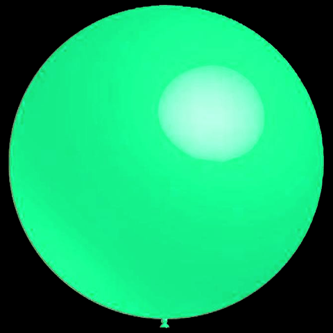 Groene ballonnen 91cm kopen? | De Horeca
