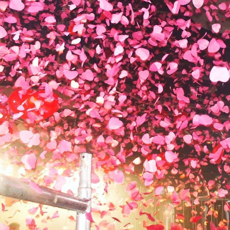 Elasticiteit Haringen Oproepen Confetti shooter 80cm roze kopen? | De Horeca Bazaar