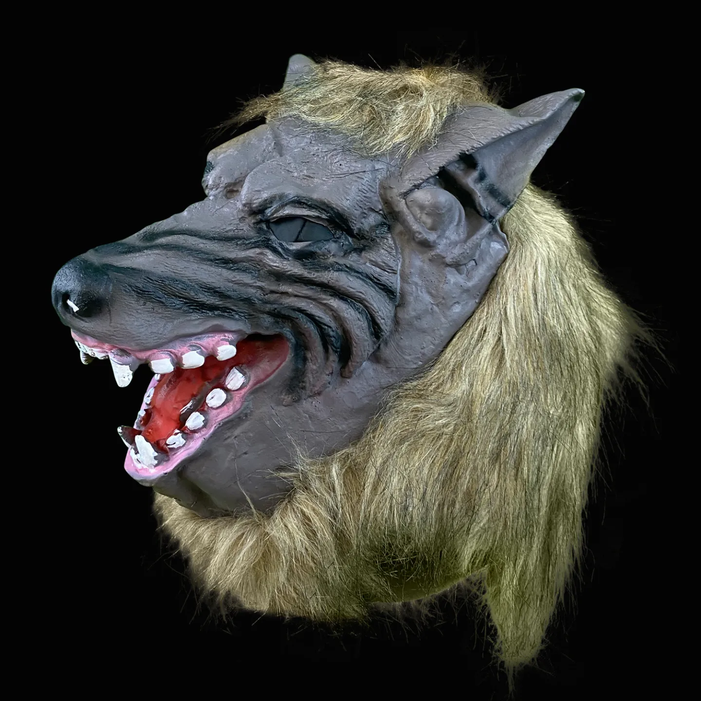 Halloween masker wolf latex kopen.