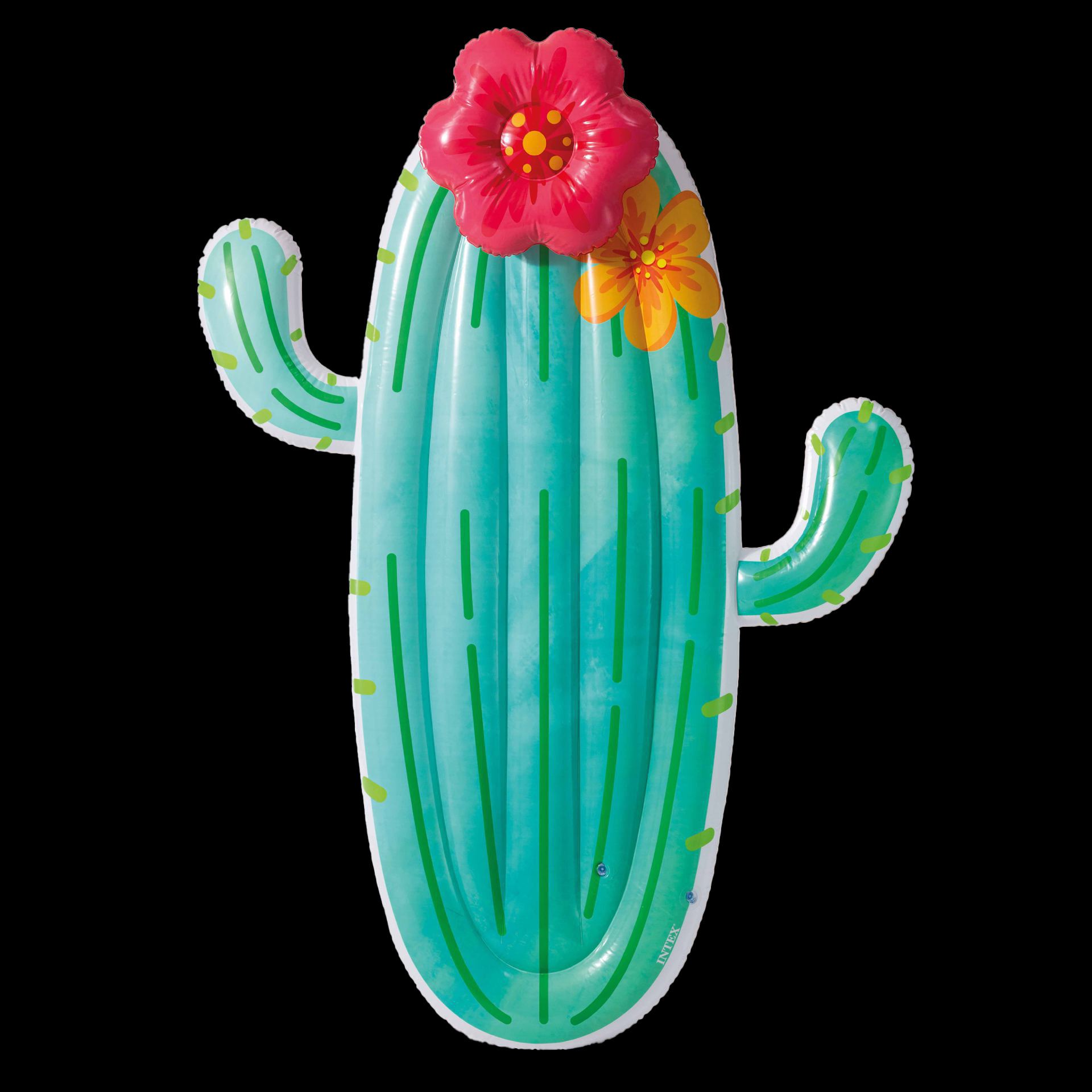 Opblaaseiland cactus