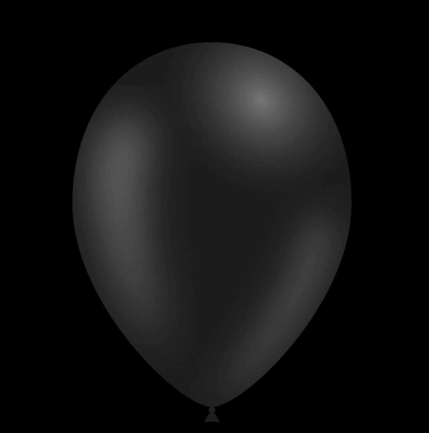 Lelie Verduisteren Samenwerken met Zwarte ballonnen 28cm kopen? | De Horeca Bazaar